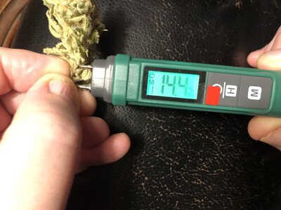 IMG_9286.jpeg IMG_9286.jpeg