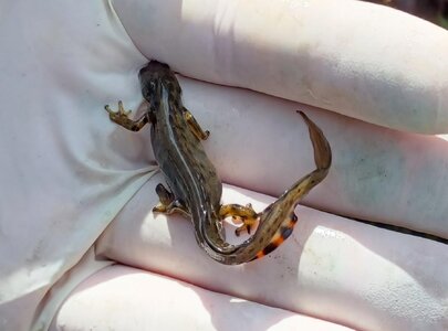 20260301_103334 (2).jpg