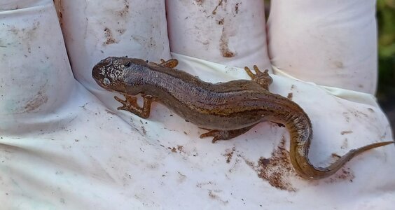 20260301_104123 (2).jpg