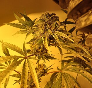F10 (7).jpg