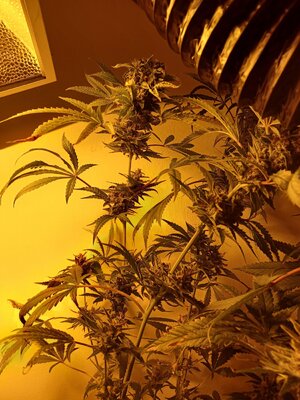 F10 (9).jpg