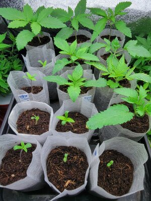 20260321_173728.jpg 20260321_173728.jpg