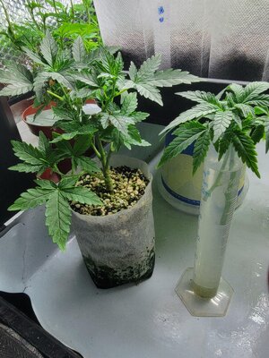 20260321_172801.jpg 20260321_172801.jpg