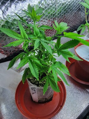 20260321_013158.jpg 20260321_013158.jpg