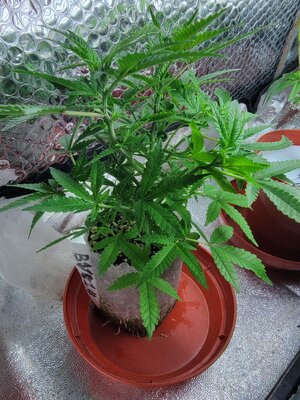 20260321_013023.jpg 20260321_013023.jpg