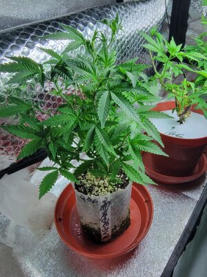 20260321_012124.jpg 20260321_012124.jpg