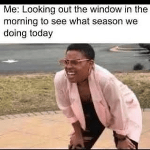 1774210381215.png