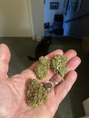 IMG_3894.jpeg