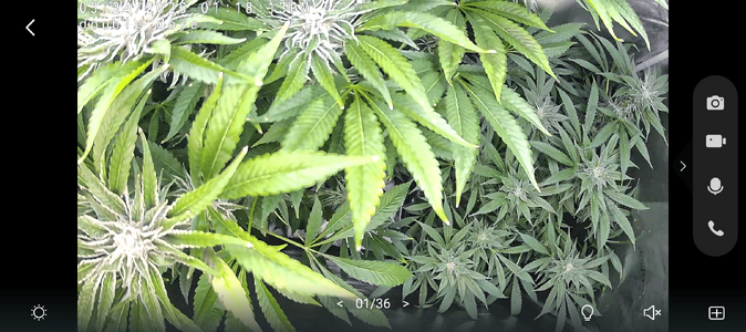 Screenshot_20260324-131817.png