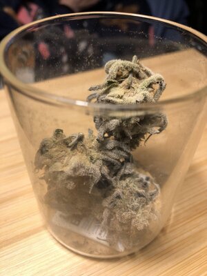 IMG_9386.jpeg