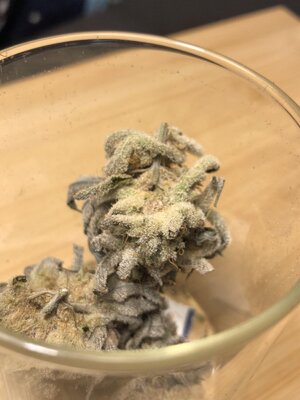 IMG_9389.jpeg