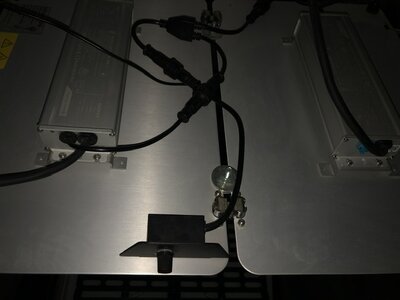 IMG_9401.jpeg