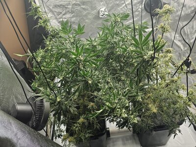 20260328_185718.jpg 20260328_185718.jpg