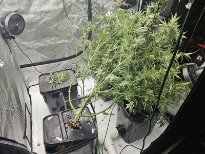 20260328_185729.jpg 20260328_185729.jpg