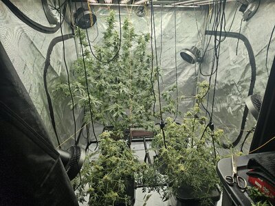 20260328_224407.jpg 20260328_224407.jpg