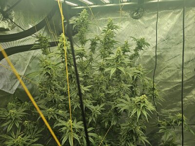 20260328_224450.jpg 20260328_224450.jpg