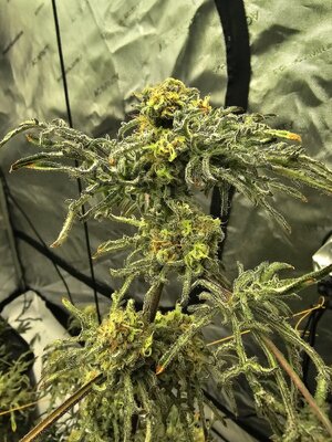 20260328_224510.jpg 20260328_224510.jpg