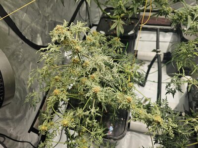 20260328_224535.jpg 20260328_224535.jpg