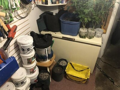 IMG_9414.jpeg