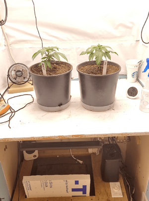 1774813576980.png 1774813576980.png