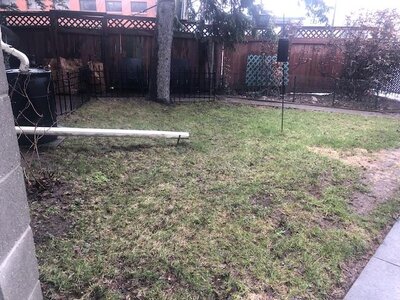 IMG_9458.jpeg