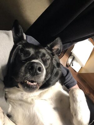 IMG_9529.jpeg IMG_9529.jpeg