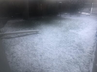 IMG_9546.jpeg