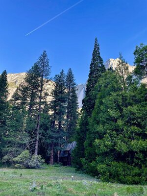 IMG_4369.jpeg
