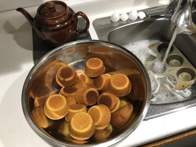 IMG_9577.jpeg