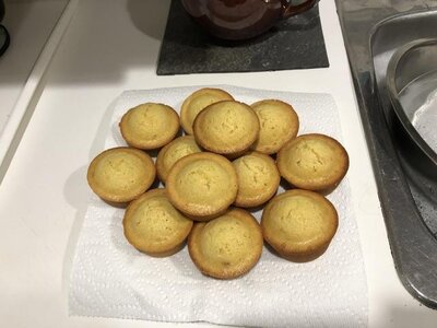 IMG_9578.jpeg