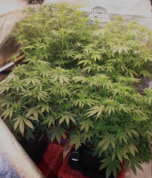 April 9 group 2.JPG April 9 group 2.JPG