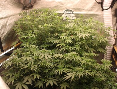 April 9 group.JPG April 9 group.JPG