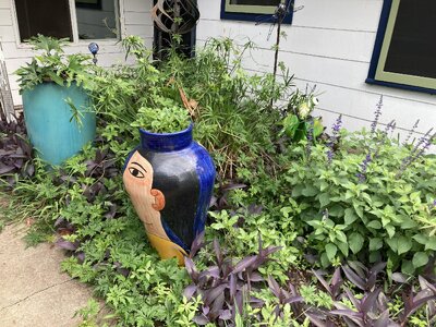 IMG_3941[1].jpeg