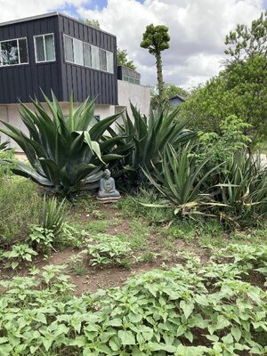IMG_3945[1].jpeg