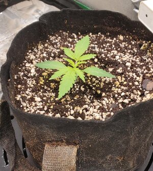 20260405_072107.jpg 20260405_072107.jpg