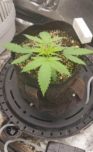 20260410_070413.jpg 20260410_070413.jpg