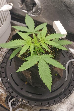 20260412_094513.jpg 20260412_094513.jpg