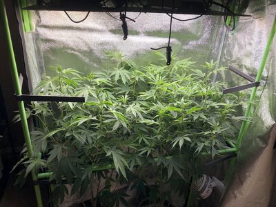 IMG_9679.jpeg