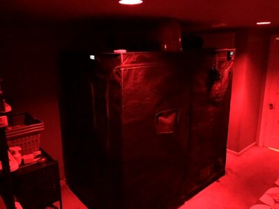 IMG_9686.jpeg