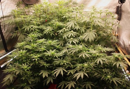 April 16 group 2.JPG