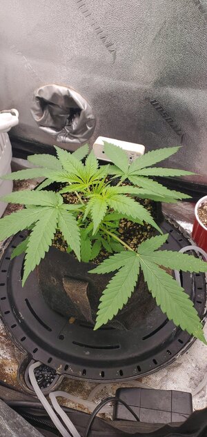 20260414_060704.jpg 20260414_060704.jpg