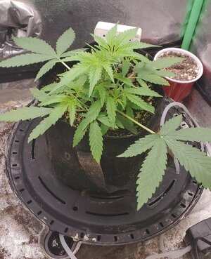 20260416_073909.jpg 20260416_073909.jpg