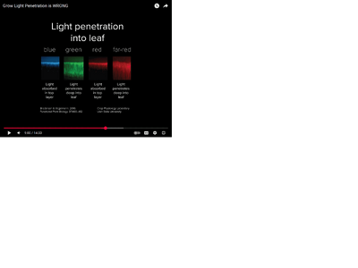 light penitration.png