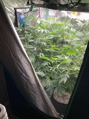 IMG_9775.jpeg