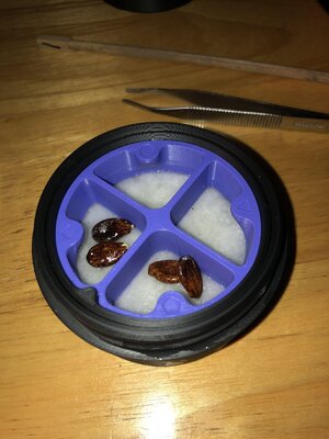IMG_9837.jpeg