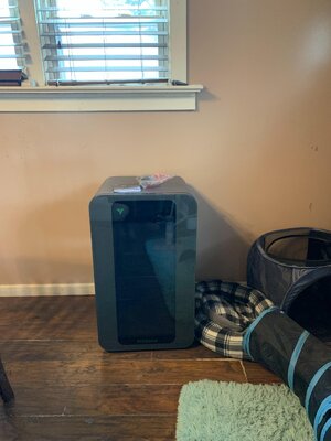 IMG_7482.JPG