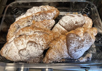 IMG_4050[1].jpeg