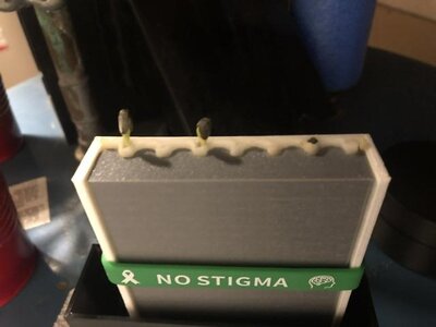 IMG_0001.jpeg