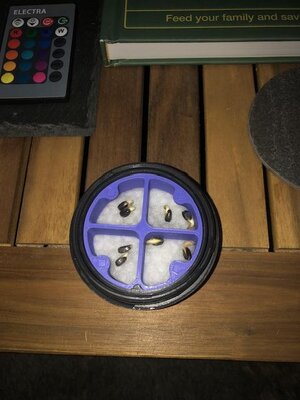 IMG_9985.jpeg