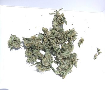 IMG_4102[1].jpeg